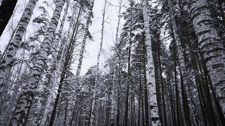 Similar image 22481666