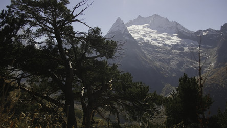 Similar image 22482191