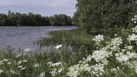 Similar image 22482413