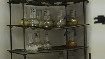 Similar image 22489825