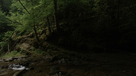 Similar image 22489826