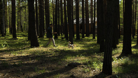 Similar image 22489855