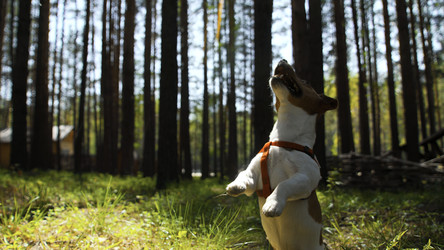 Similar image 22499896