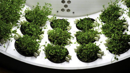 Similar image 22500249