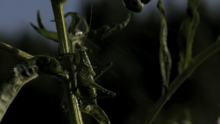 Similar image 22500322