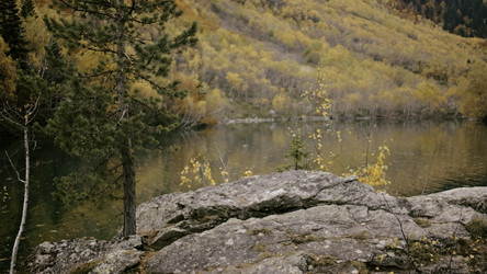 Similar image 22500352