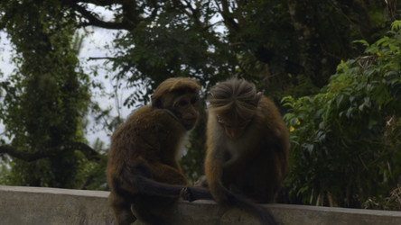 Similar image 22500353