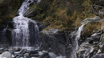 Similar image 22500411