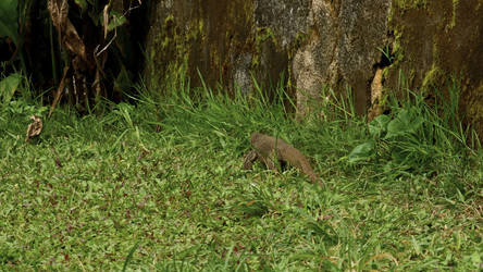 Similar image 22481428