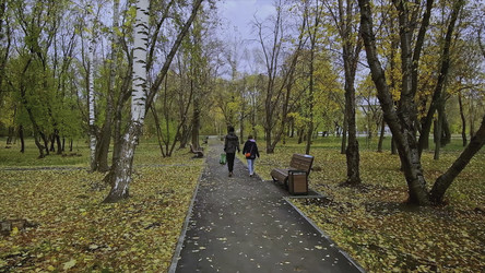 Similar image 22481546