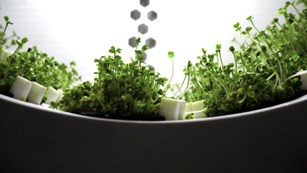 Similar image 22481680