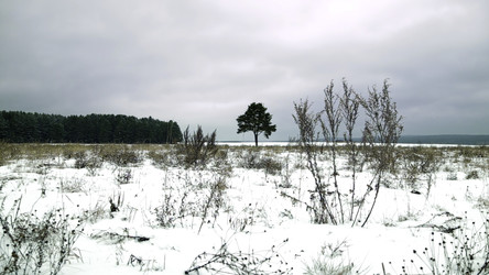 Similar image 22481892