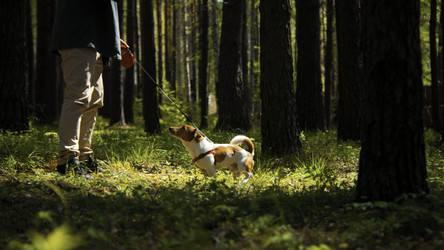 Similar image 22482071