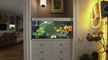 Similar image 22482177