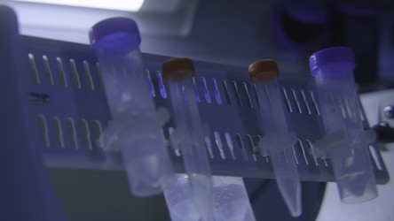 Similar image 22500129