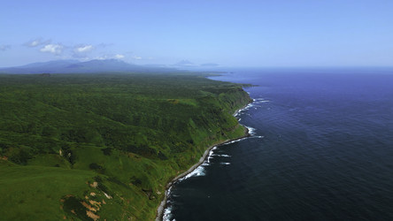 Similar image 22500175