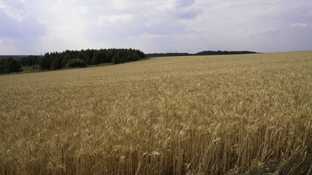 Similar image 22500189