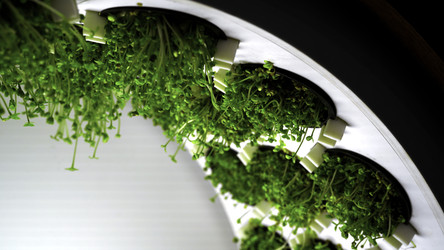 Similar image 22500384