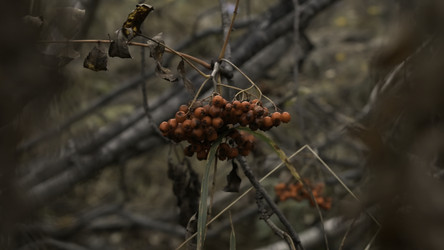 Similar image 22500429