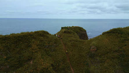 Similar image 22500517