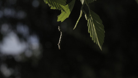 Similar image 22481624