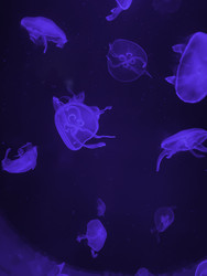 Similar image 22481909