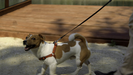 Similar image 22482193