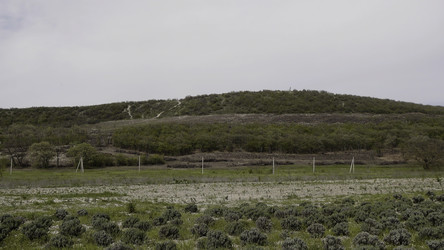 Similar image 22482311