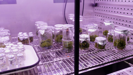 Similar image 22482388