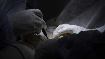 Similar image 22500236