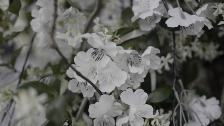 Similar image 22500311