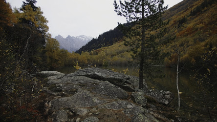 Similar image 22500386