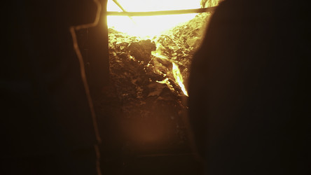 Similar image 22500445