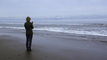 Similar image 22500491