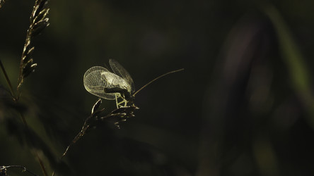 Similar image 22481278