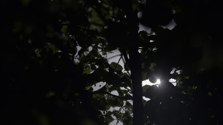 Similar image 22481279