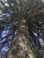 Similar image 22481457