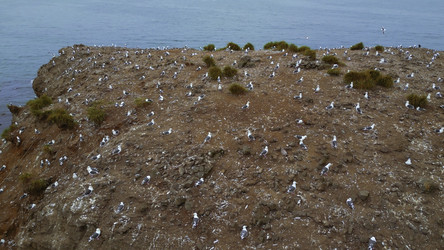 Similar image 22481488