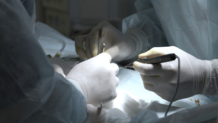 Similar image 22481698