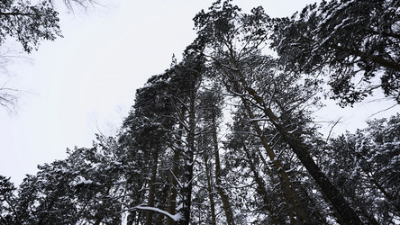 Similar image 22482312