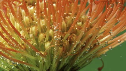 Similar image 22482325