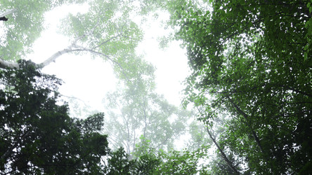 Similar image 22482461