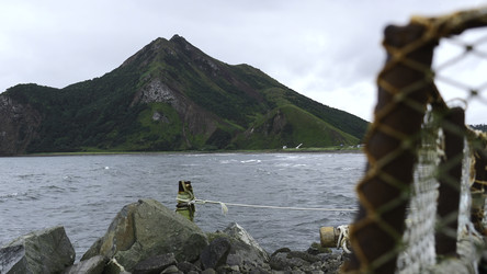 Similar image 22482509