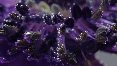 Similar image 22482535