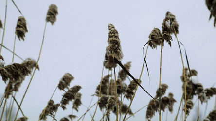 Similar image 22482680