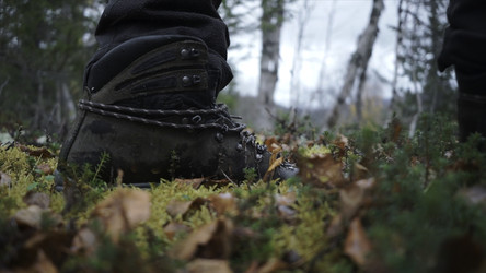 Similar image 22482831