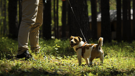 Similar image 22483012