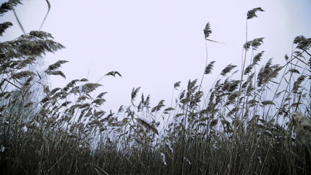 Similar image 22483040