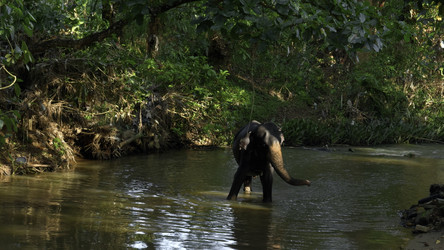 Similar image 22483086