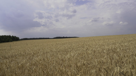 Similar image 22483130